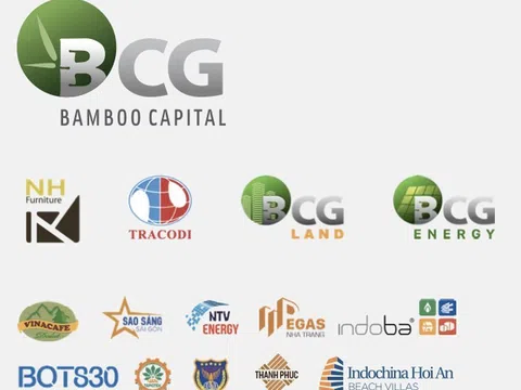 HoSE mạnh tay đình chỉ giao dịch hơn 1,2 tỷ cổ phiếu Bamboo Capital và Tracodi