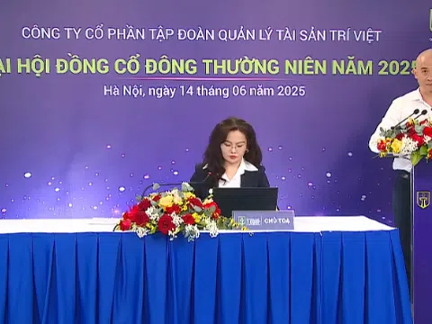 Sốc: Doanh nghiệp chứng khoán rót 1.800 tỷ ôm cổ phiếu CTG, HPG, MWG,... vẫn bốc hơi 90% lợi nhuận