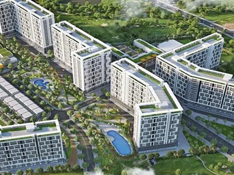 Thắng Lợi Group và câu chuyện “lúa non”: Khép lại hay tiếp tục?