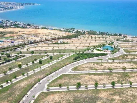 Chấn động: Dự án  Sentosa Villa của Chủ tịch GenZ bị Thanh Tra "chỉ điểm" 11 năm chưa xong, bán “nhà trên giấy” gần 230 tỷ, xây trái phép trên đất cây lâu năm