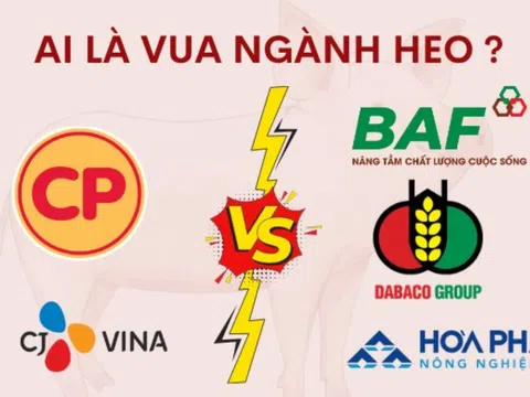 C.P. Việt Nam lao đao vì khủng hoảng truyền thông, Dabaco tăng tốc “ôm trọn thời cơ” giữa sóng gió ngành heo