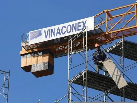 Cổ phiếu Vinaconex (VCG) giảm sàn giữa thông tin thanh tra dự án trong năm 2026