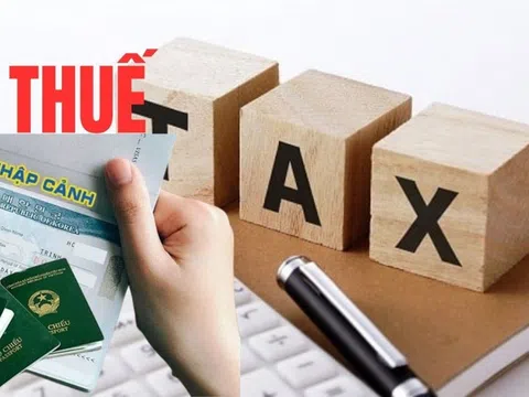 Công khai danh sách nợ thuế tại TP.HCM: 3.225 doanh nghiệp “ôm” gần 9.700 tỷ, nhiều ông lớn BĐS có cả dệt may