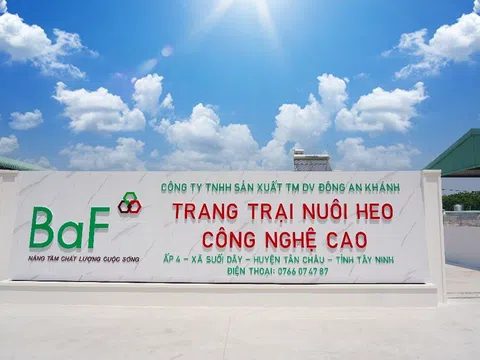Giá heo “quay xe”, BAF Việt Nam lỗ 265 tỷ đồng chỉ trong một quý