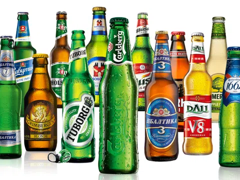 Bán bia gần 16.000 tỷ nhưng vẫn lỗ 800 tỷ: Carlsberg Group đang làm gì ở Việt Nam?
