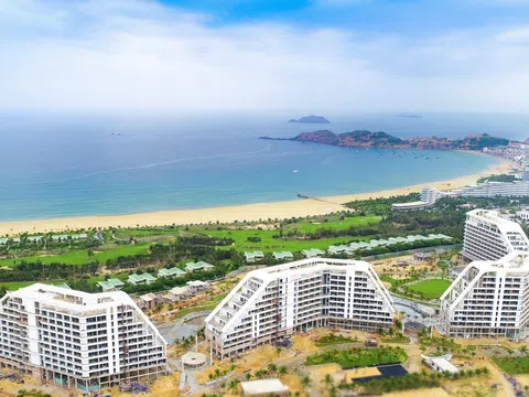 Dự án ven biển của FLC phát sinh nhiều phản ánh từ người dân