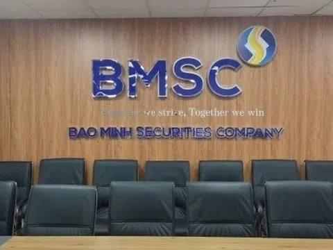 Chứng khoán Bảo Minh vừa nộp hồ sơ đăng ký niêm yết hơn 203,9 triệu cổ phiếu lên sàn HOSE