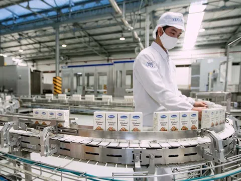 Củng cố vị trí ‘ông trùm’ ngành sữa Vinamilk liên tục mở rộng đầu tư: mới nhất rót 4.600 tỷ xây nhà máy sữa tại Hưng Yên