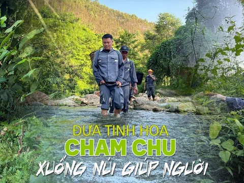 Người mang tinh hoa trên đỉnh Cham Chu xuống núi giúp người