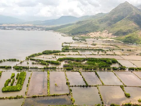 Đất nền Cam Lâm lại sốt